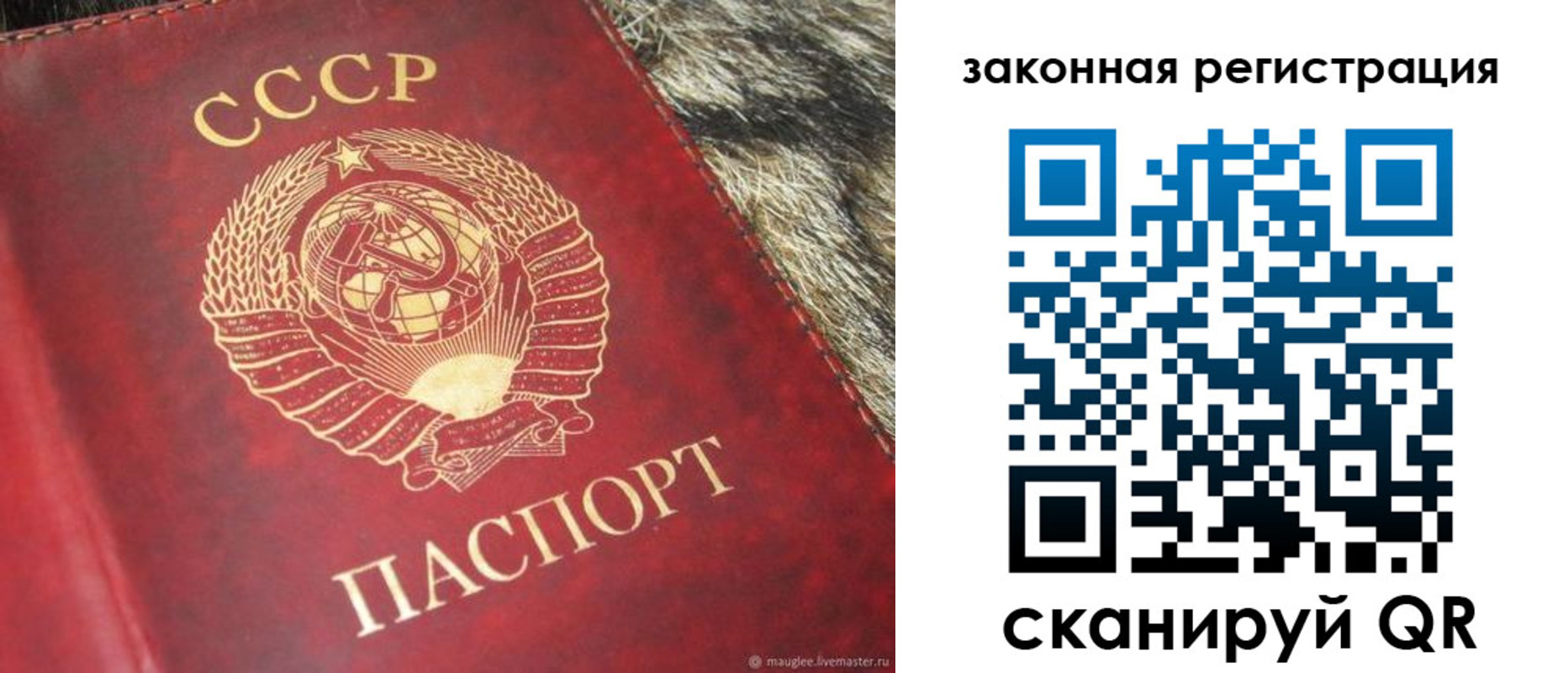 прописка от собственника в Звенигороде